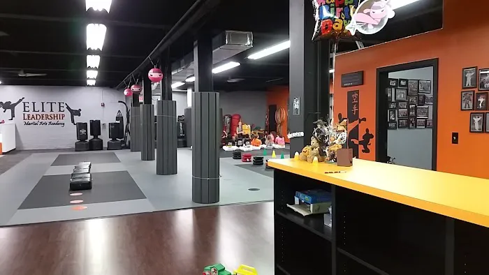 Elite Leadership Martial Arts Academy Picture 2
