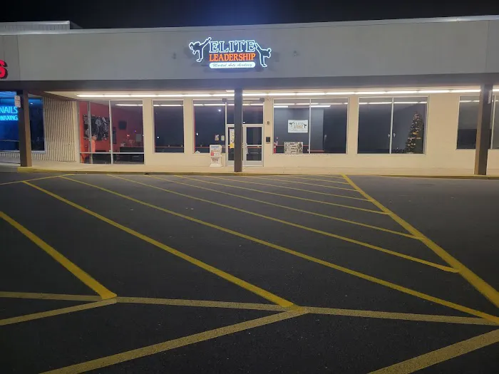 Elite Leadership Martial Arts Academy Picture 5