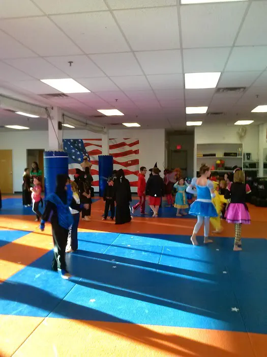 Wyomissing ATA Martial Arts Picture 2
