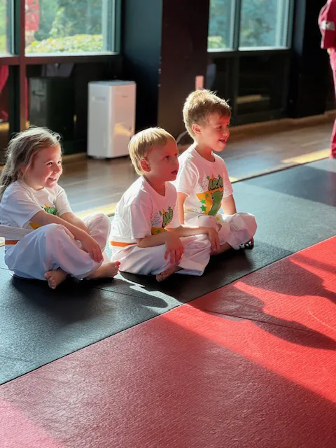 Wyomissing ATA Martial Arts Picture 4