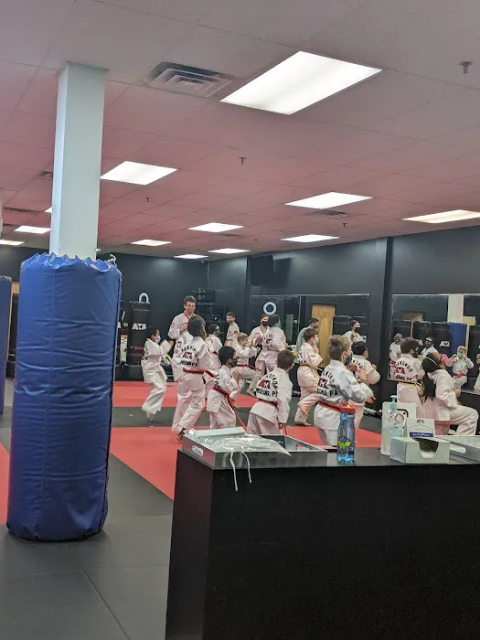 Wyomissing ATA Martial Arts Picture 7