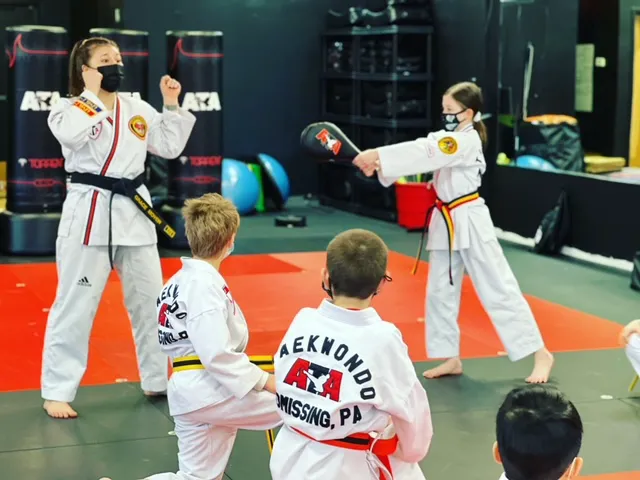 Wyomissing ATA Martial Arts Picture 8