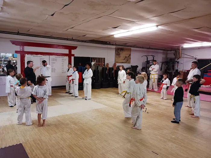 Open Call Martial Arts Picture 2