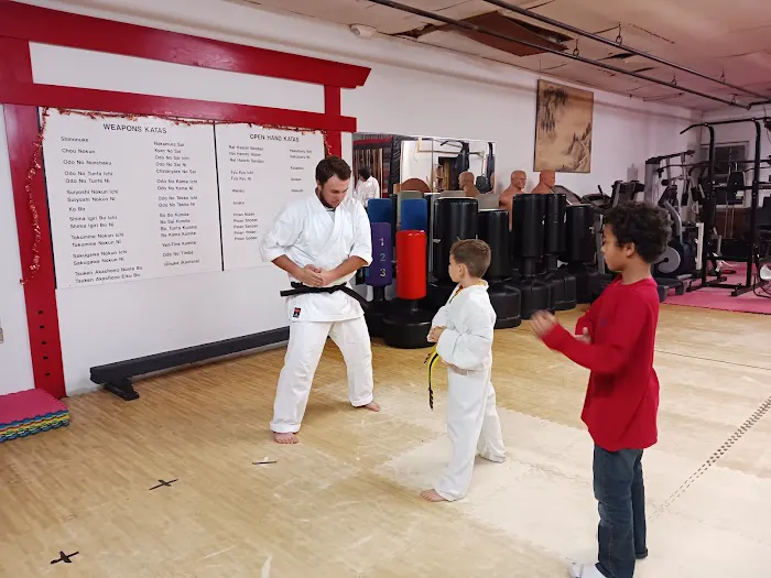 Open Call Martial Arts Picture 3