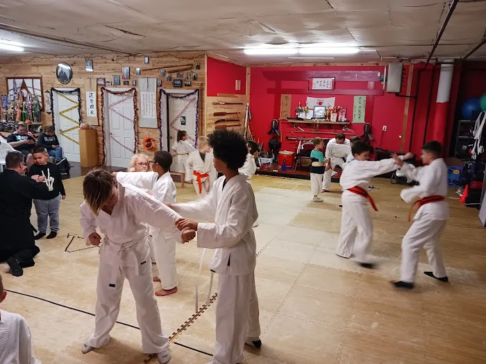 Open Call Martial Arts Picture 5