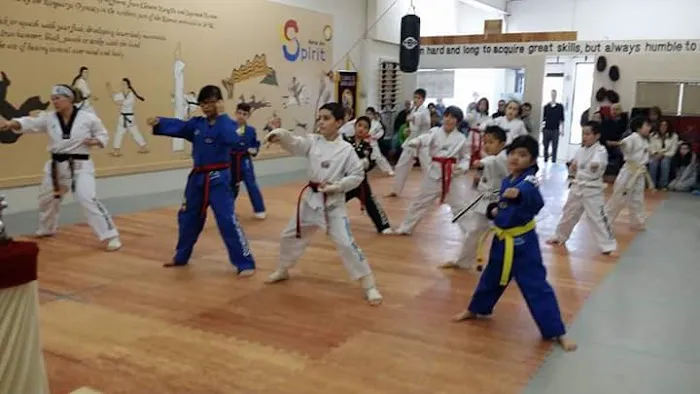 Martial Arts SPIRIT Academy Picture 3