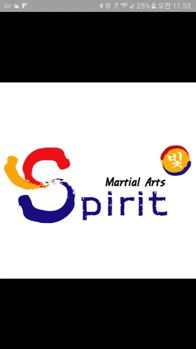 Martial Arts SPIRIT Academy Picture 4