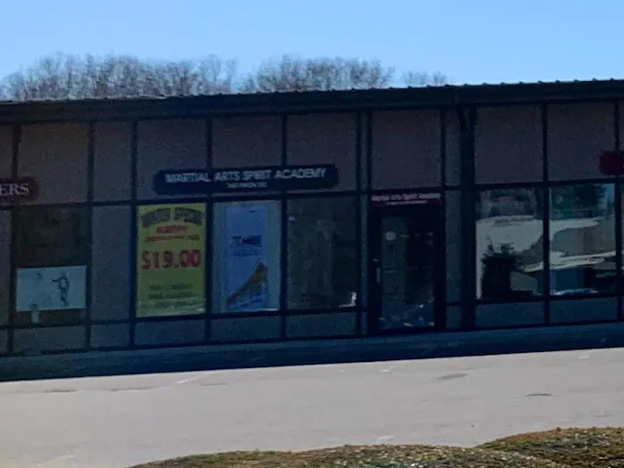 Martial Arts SPIRIT Academy Picture 1