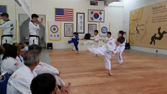 Martial Arts SPIRIT Academy Picture 2