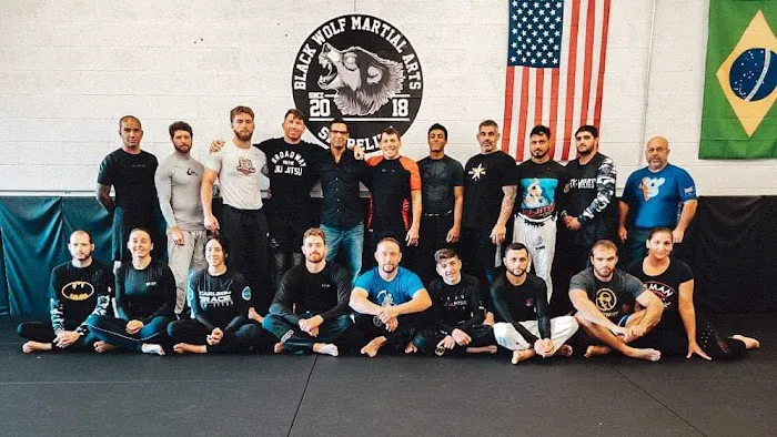 Black Wolf Martial Arts Shoreline Picture 3