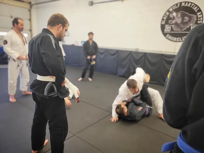 Black Wolf Martial Arts Shoreline Picture 9