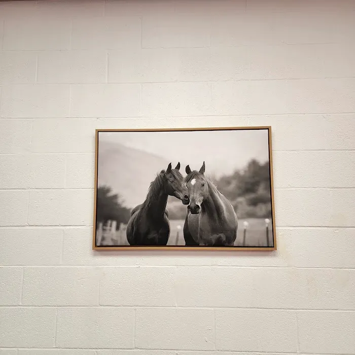 American Knights Martial Arts Academy LLC Picture 1