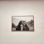 American Knights Martial Arts Academy LLC