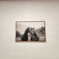 American Knights Martial Arts Academy LLC ico