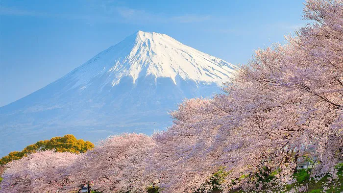 Extreme Karate Picture 1