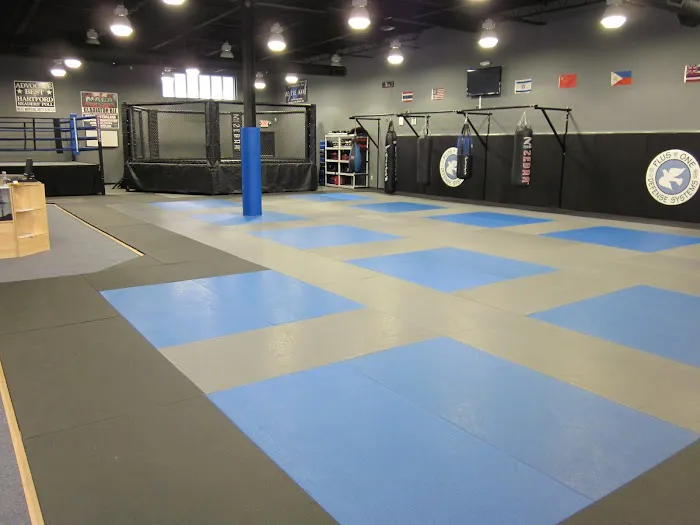 Plus One Defense Systems Picture 1