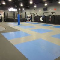 Plus One Defense Systems ico