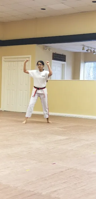 Connecticut Taekwondo Academy Picture 5