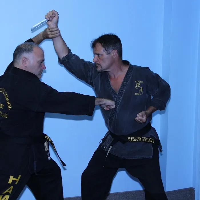 Varasconi's School Of Self Defense Branch Of Hamzy's Picture 9