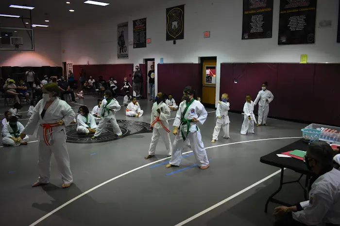 Institute of Martial Arts Picture 1