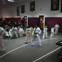 Institute of Martial Arts ico