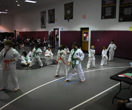 Institute of Martial Arts