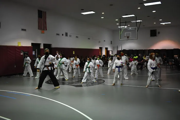 Institute of Martial Arts Picture 2