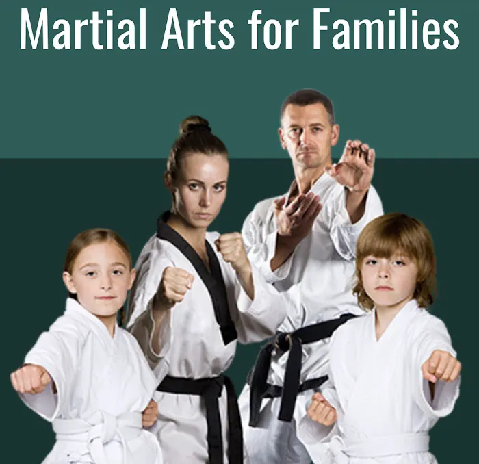 Olympic Taekwondo Academy Simsbury Picture 3