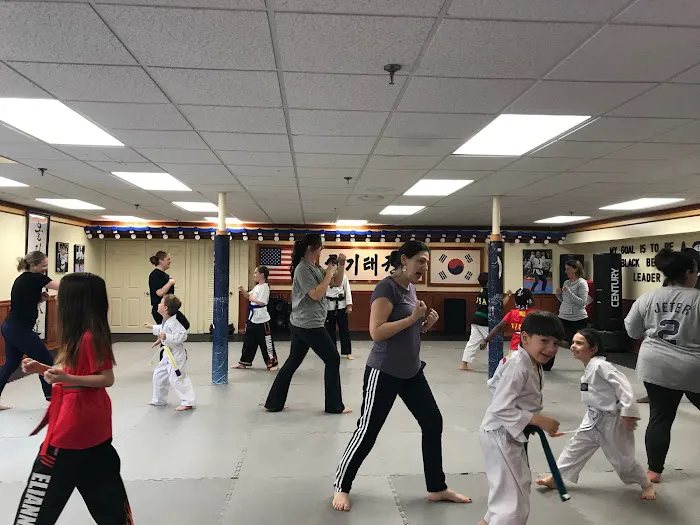 Olympic Taekwondo Academy Simsbury Picture 5