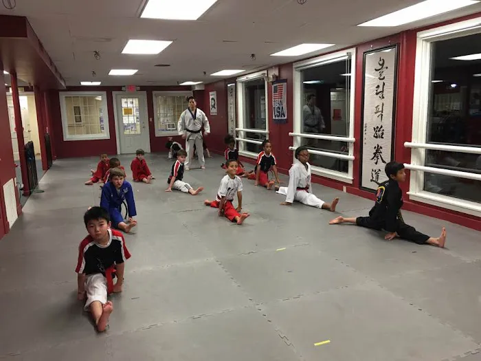 Olympic Taekwondo Academy Simsbury Picture 4