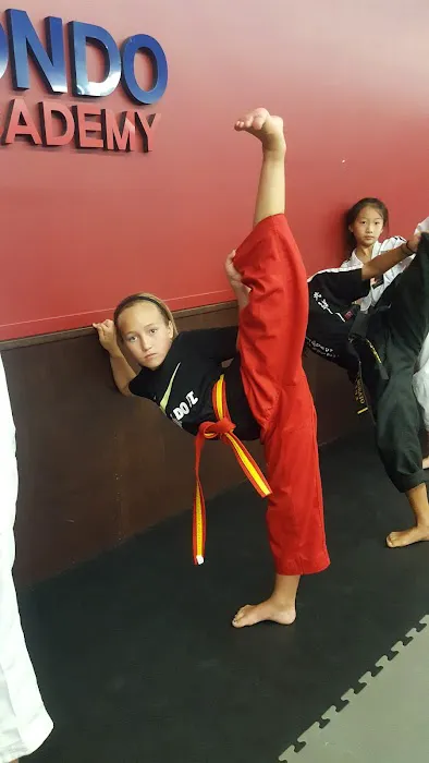 Olympic Taekwondo Academy Simsbury Picture 6