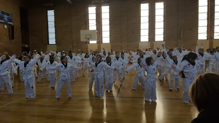 Olympic Taekwondo Academy Simsbury Picture 9