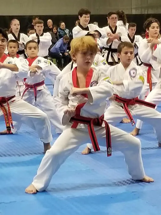 Litchfield Tang Soo Do Picture 7