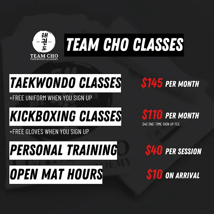 Team Cho Taekwondo Academy Picture 2