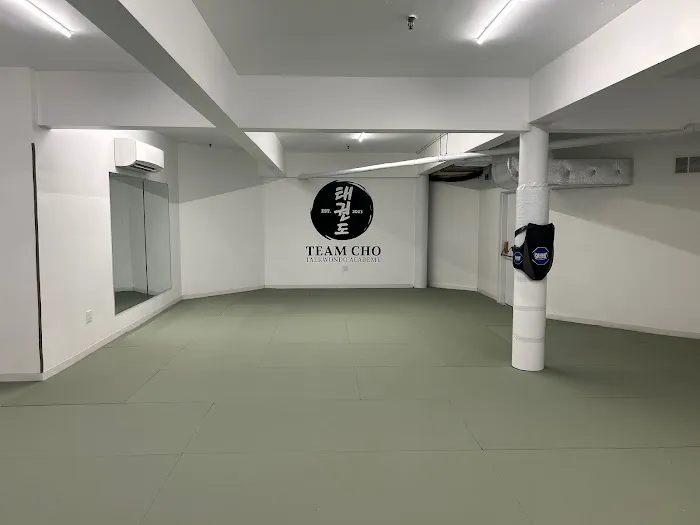Team Cho Taekwondo Academy Picture 1