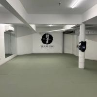 Team Cho Taekwondo Academy ico