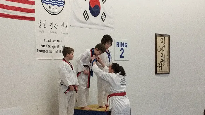 Hansoo Tae Kwon Do: Korean Martial Arts Picture 1