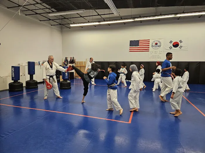 Hansoo Tae Kwon Do: Korean Martial Arts Picture 2