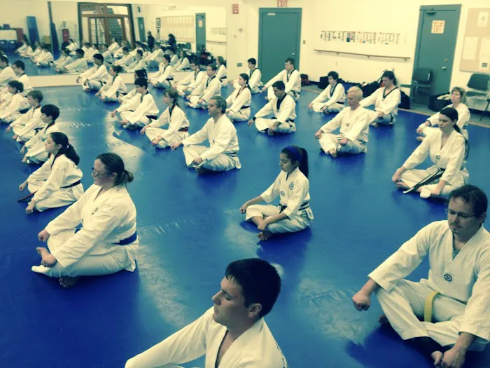 Hansoo Tae Kwon Do: Korean Martial Arts Picture 4