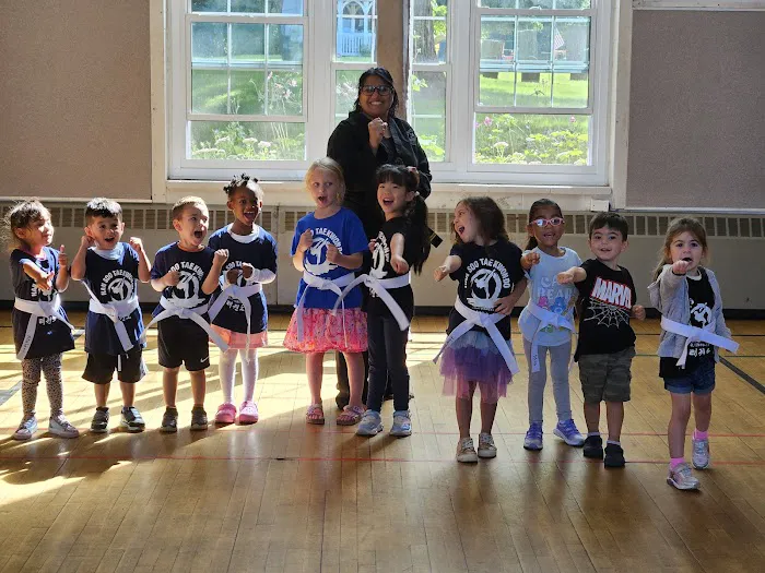 Hansoo Tae Kwon Do: Korean Martial Arts Picture 6