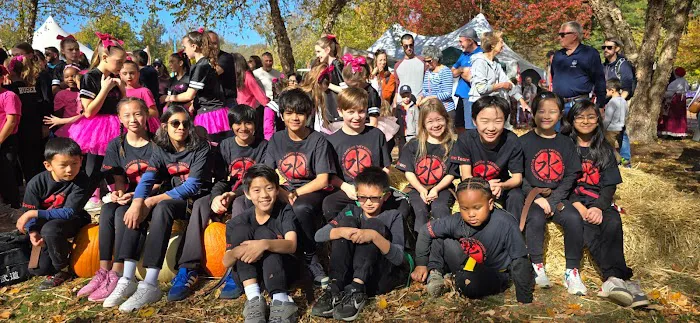 Hansoo Tae Kwon Do: Korean Martial Arts Picture 5