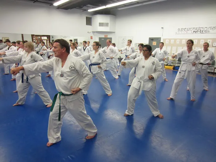 Hansoo Tae Kwon Do: Korean Martial Arts Picture 8