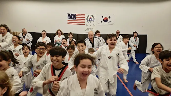 Hansoo Tae Kwon Do: Korean Martial Arts Picture 7