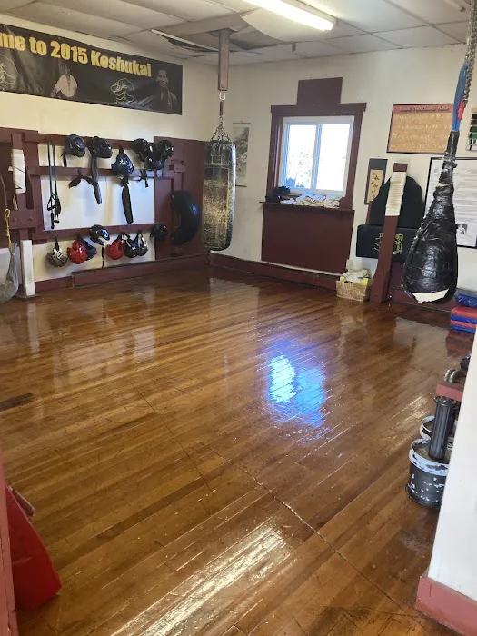 Okinawa Karate Uechi Style Picture 4