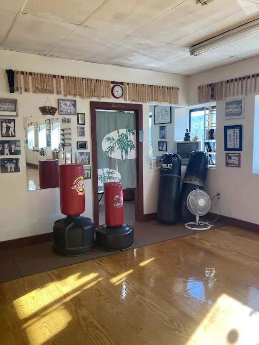 Okinawa Karate Uechi Style Picture 5