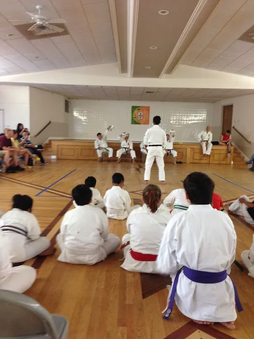 Okinawa Karate Uechi Style Picture 2