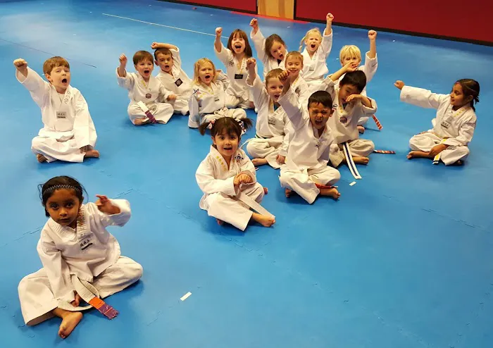 Olympic Taekwondo Academy of Martial Arts Picture 2