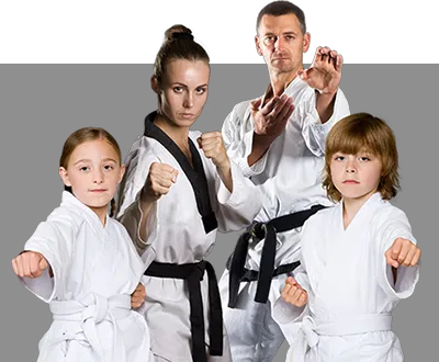 Olympic Taekwondo Academy of Martial Arts Picture 6