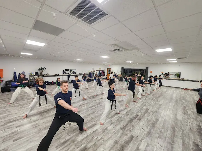 Level Up Karate Picture 1