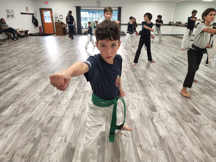 Level Up Karate Picture 3